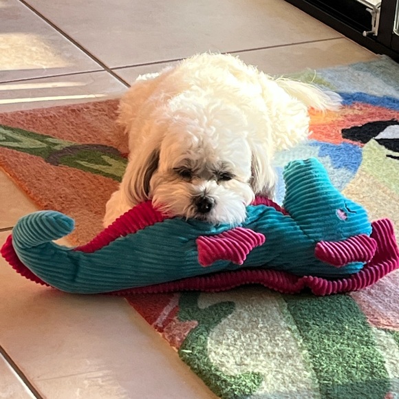 Meet your Posher, Ali! - Picture 11 of 12